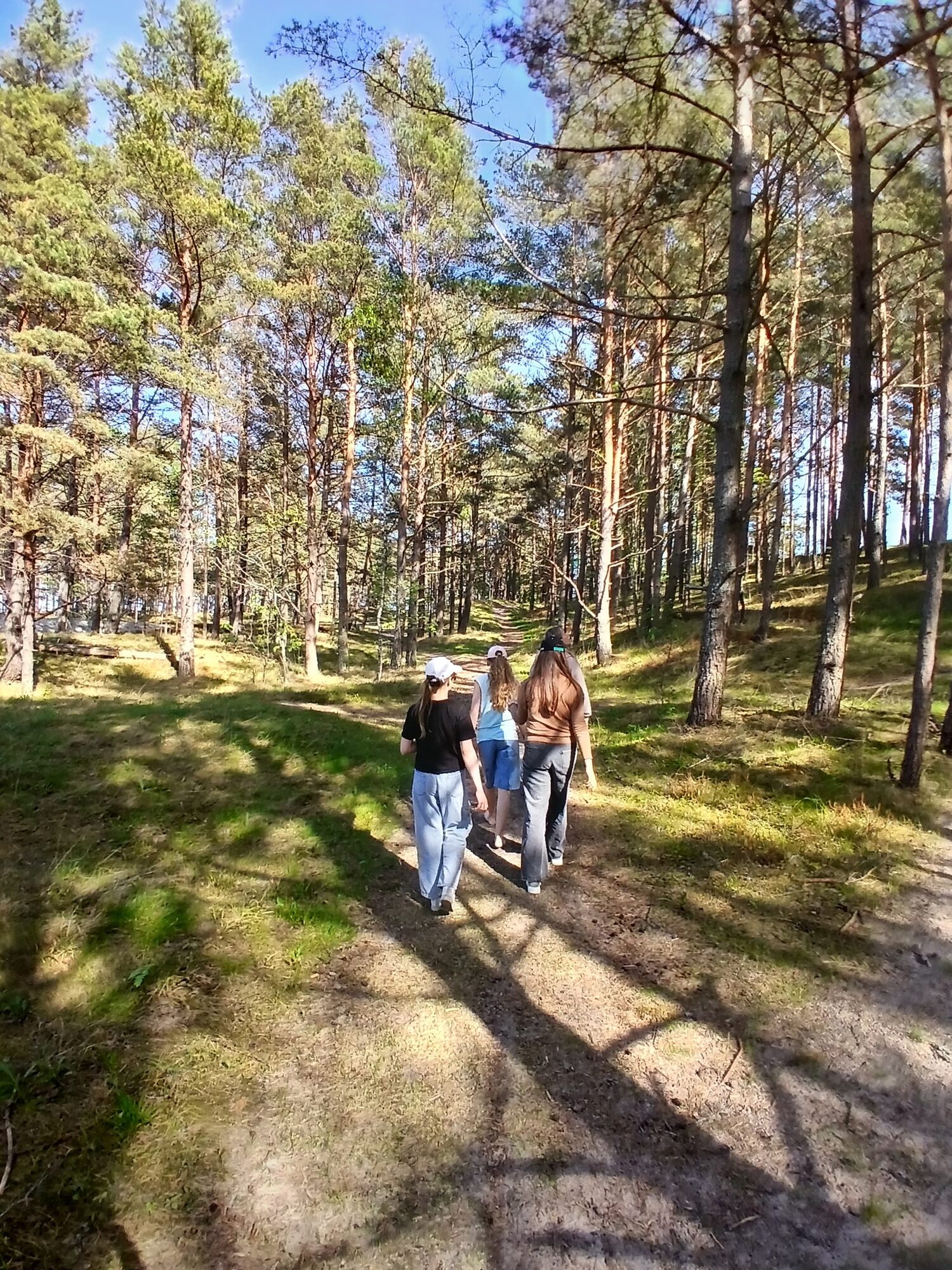 Pastaiga pa priežu meža taku Mērsragā